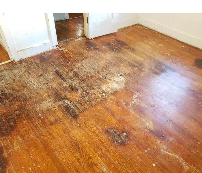 a water damaged hardwood floor in a home