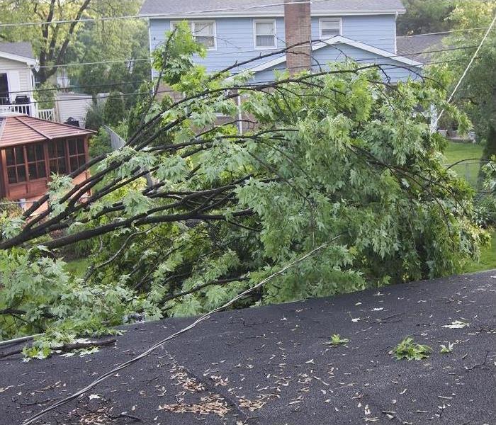 Storm damaged neighborhood; Fallen tree resting on powerline causing hazardous situation.